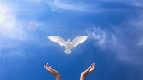 Поддержка просветвленной души