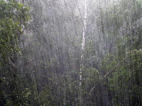 Летний вечер на даче