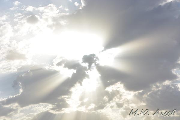 Горячий след