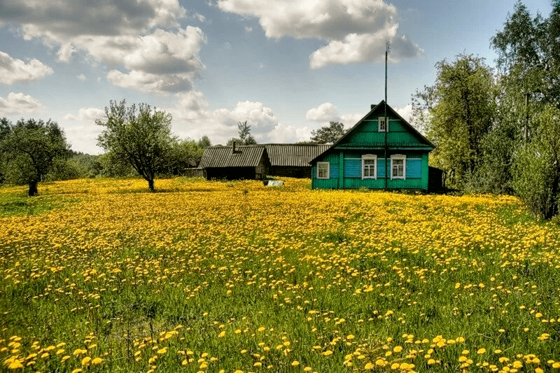 Картинки о деревне и природе