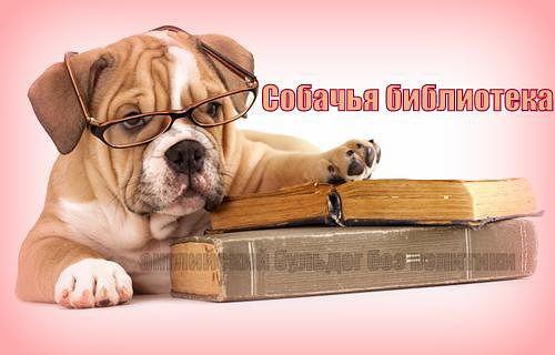 Кто сказал?