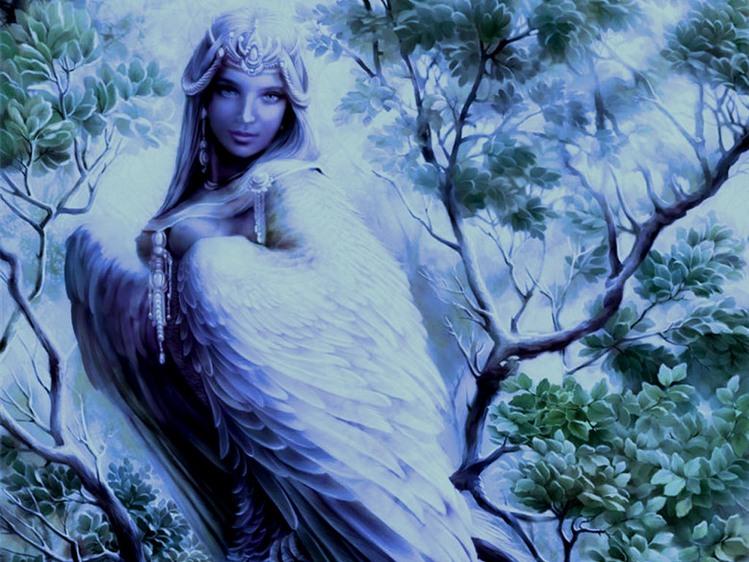 Белая птица печали