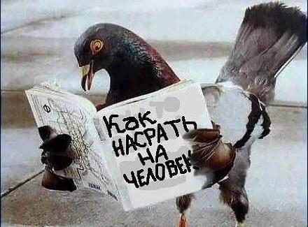 чудный знак