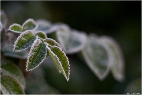 КОНЕЦ СЕЗОНА