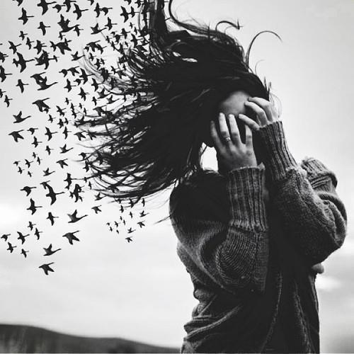 Осколки В Виде Листьев