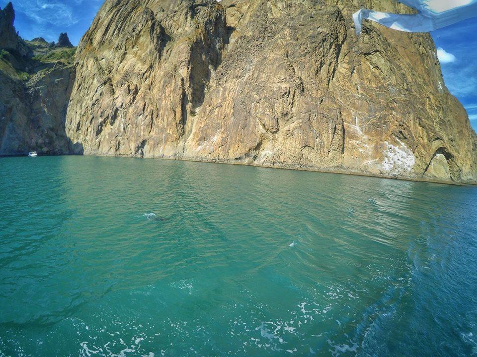 Реинкарнация 2.0