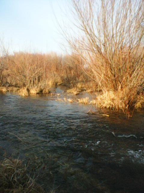 Сегодня я ходил прощаться с осенью