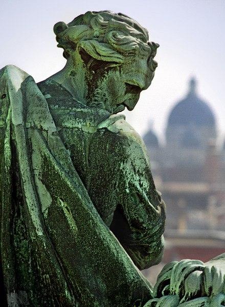 утро в питере