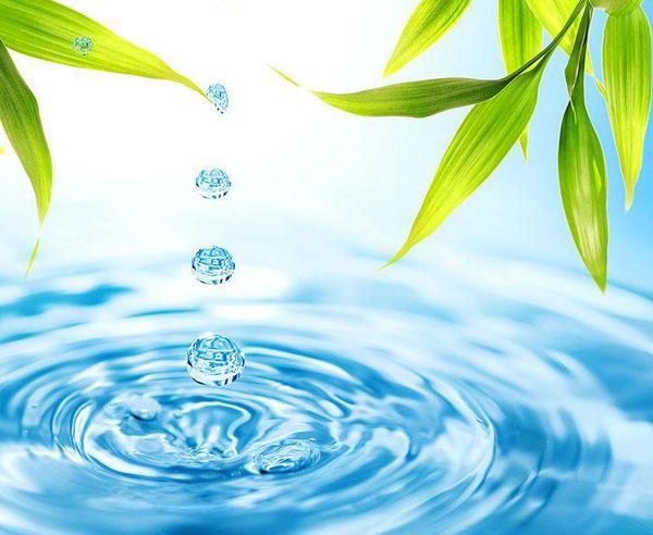 Я хочу быть свободна