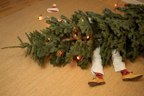 ЕЛЬ УПАЛА... ( НЕ ПО ОСТЕРУ ) читает автор