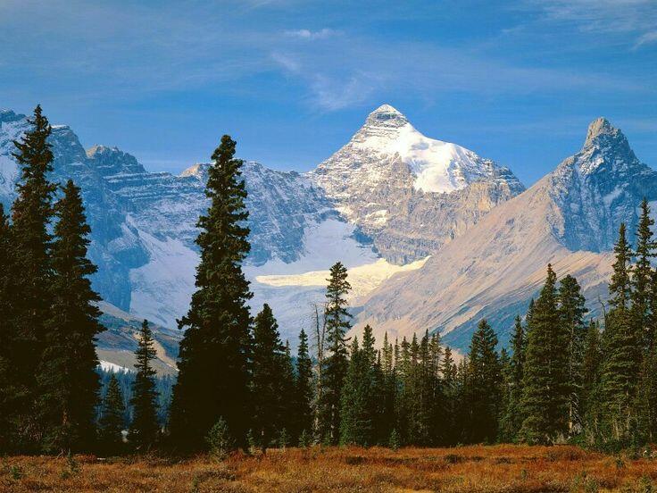 Не ищите там меня