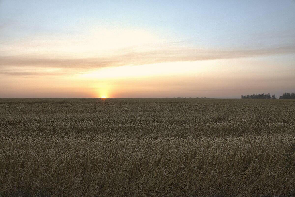 Солнце вышло