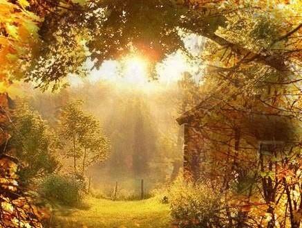 ОСЕННИЙ ДОЖДЬ