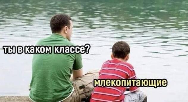 Хочу быть батей