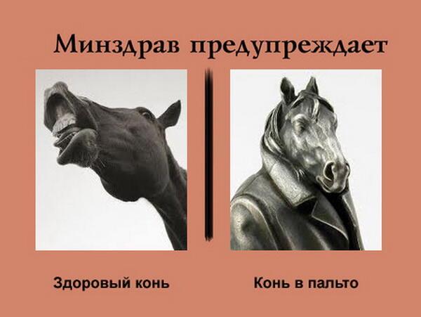 Конь... в пальто. Или... метаморфозы психики.