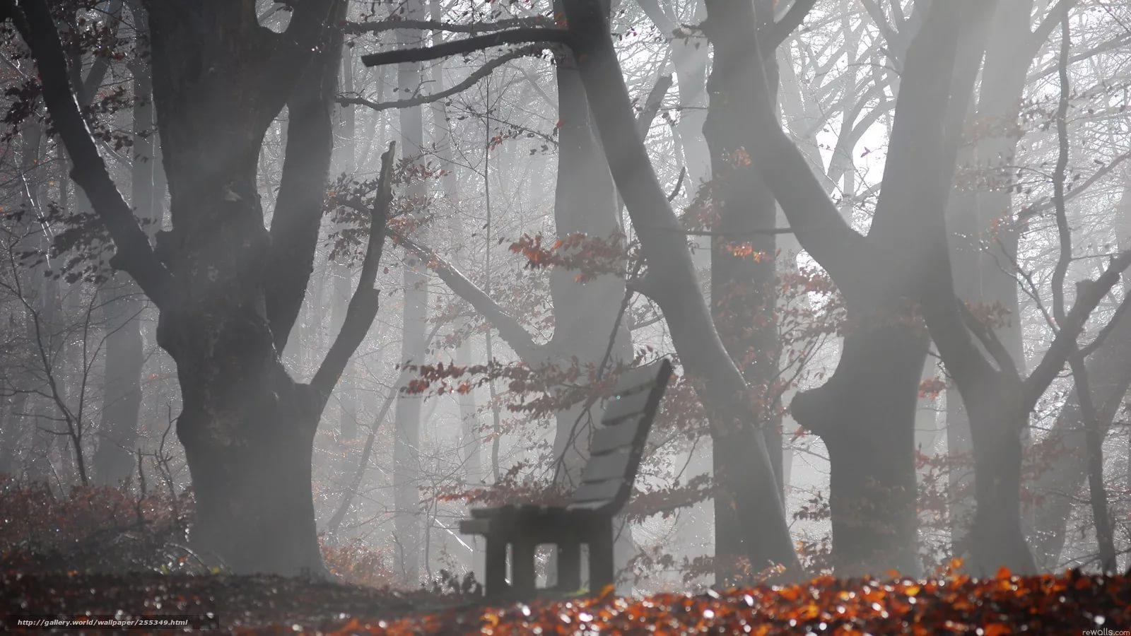 Для любимой. (про лиру)