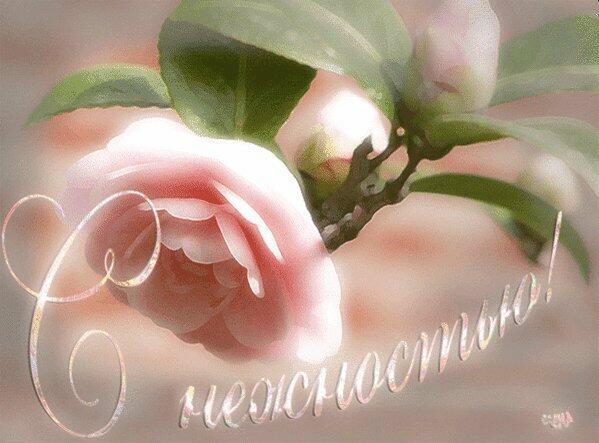 ДЕНЬ НЕЖНОСТИ