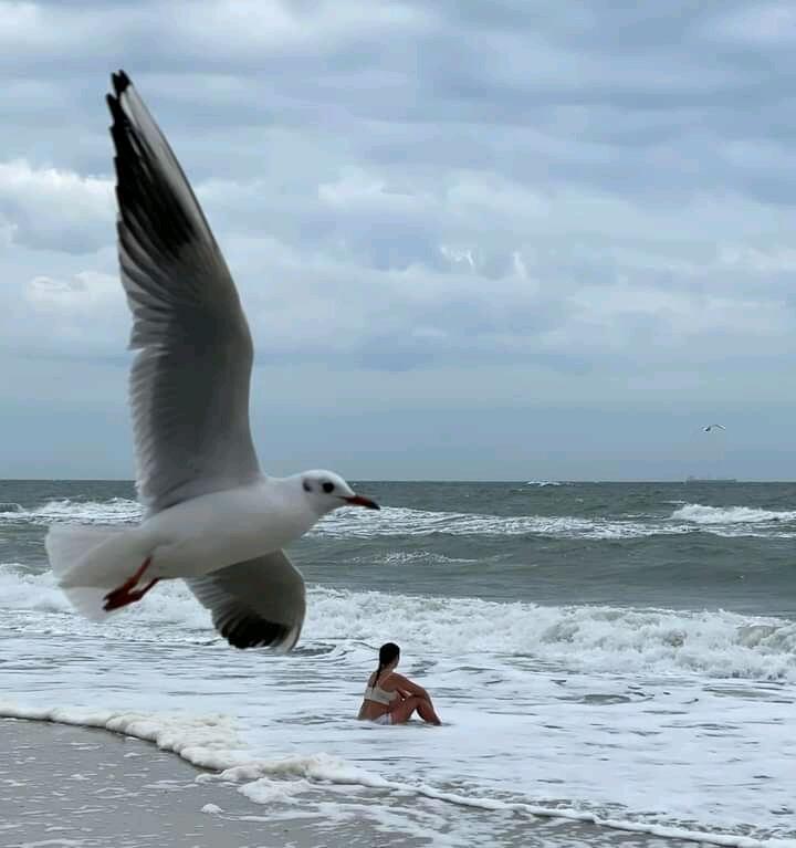 Моя жизнь где-то продлиться...