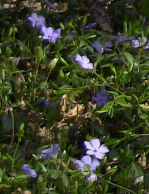 Первое мая (с улыбкой)