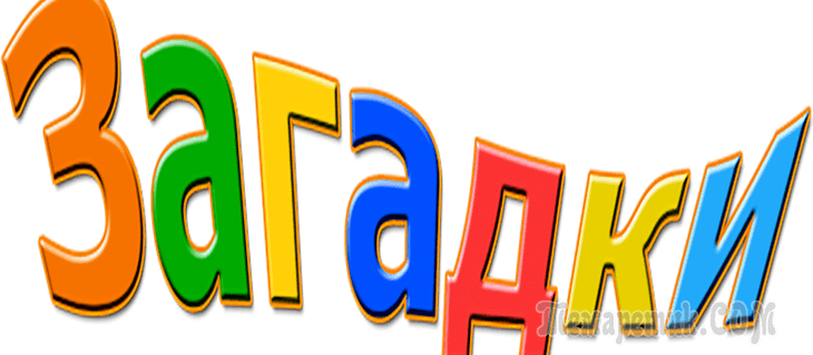  ДАЧНЫЕ ЗАГАДКИ ВЫРОСЛИ НА ГРЯДКЕ