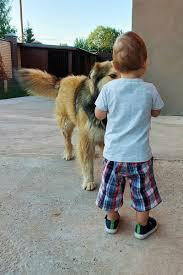 Переводчик