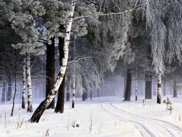 ЗИМА... гротеск