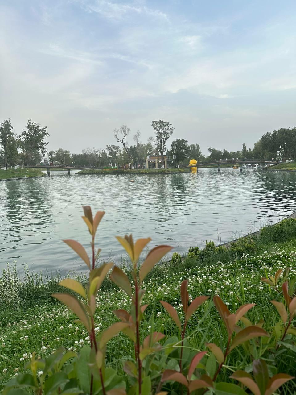 Океан (Маня 3)