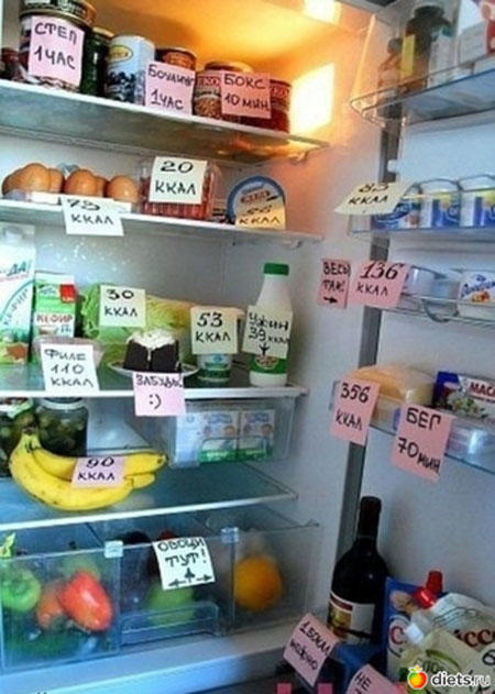 Монолог холодильника
