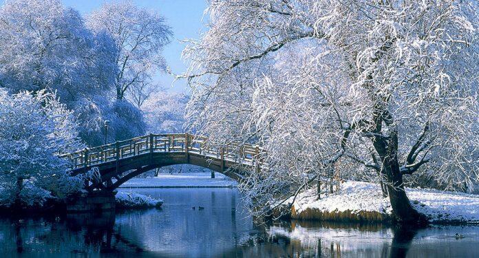 ВОТ И СНЕЖОК