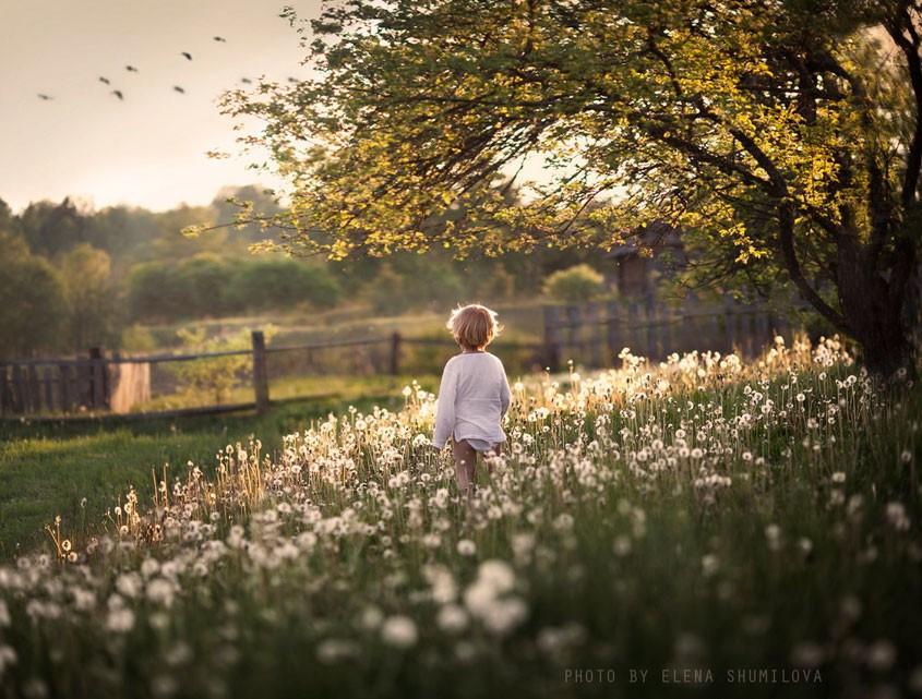 Втихомолку