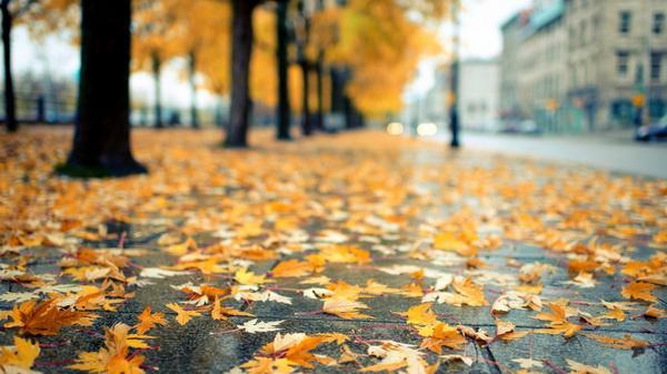 Лишь меня...