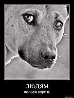 Притча о жестоком гуманизме