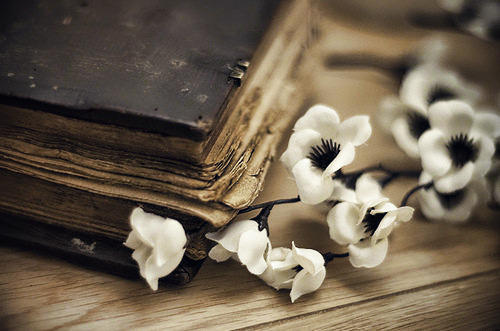 Уж далеки былые дни!.. (А.Ладыгин)