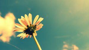 Просто кто-то