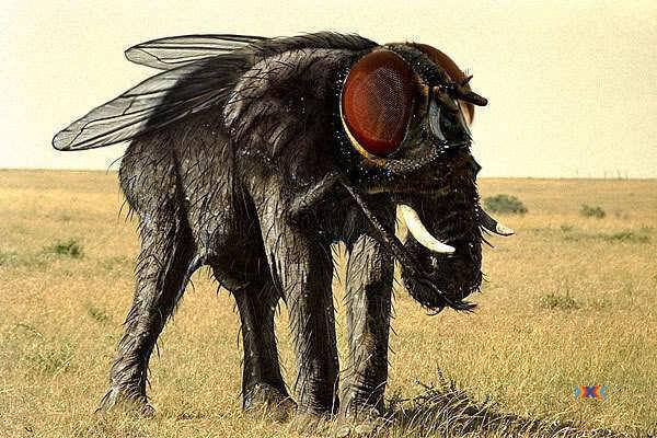 ОБЛАЖАЛСЯ...