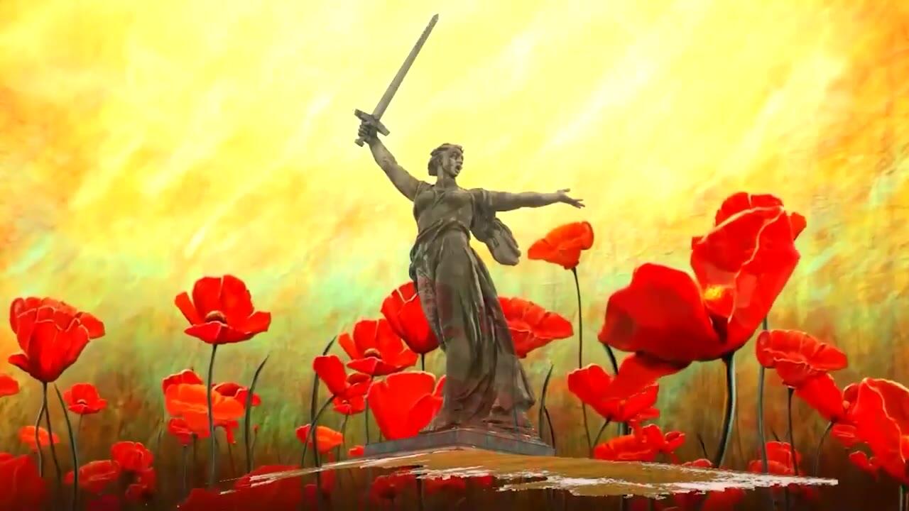 ⭐ КРАСНЫЕ МАКИ ВОЙНЫ