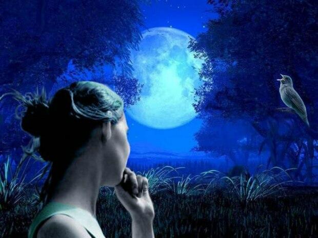 НОЧЬ СОЛОВЬЯ