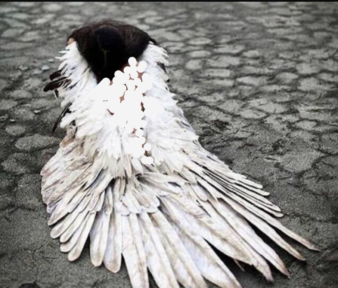 Я свои ломаю крылья