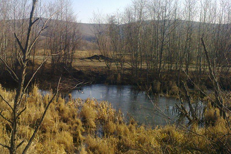 октябрь (ДВ)