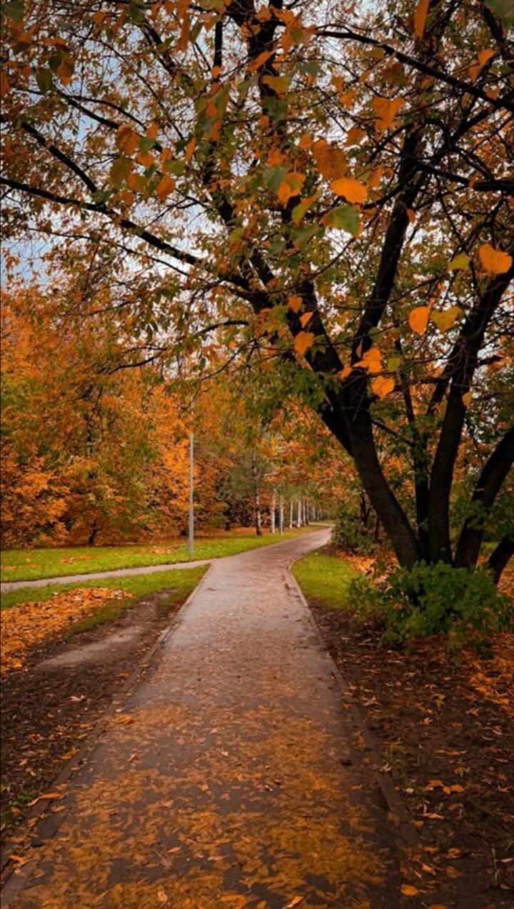 Всё Осень этто... 