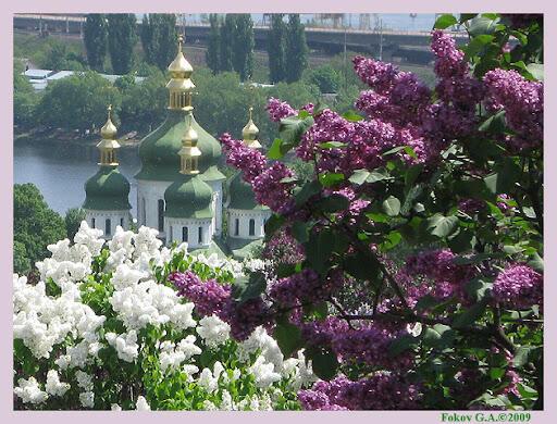 Весенний допинг