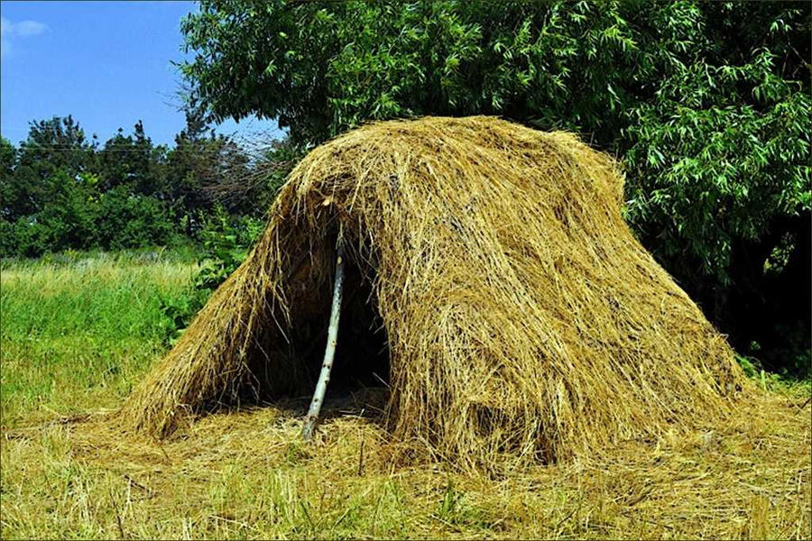 Любить любовь