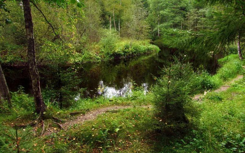 Травная и Черная