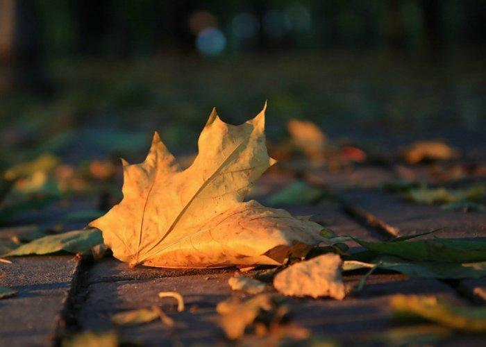 Напрасные надежды. Песня от Suno № 1