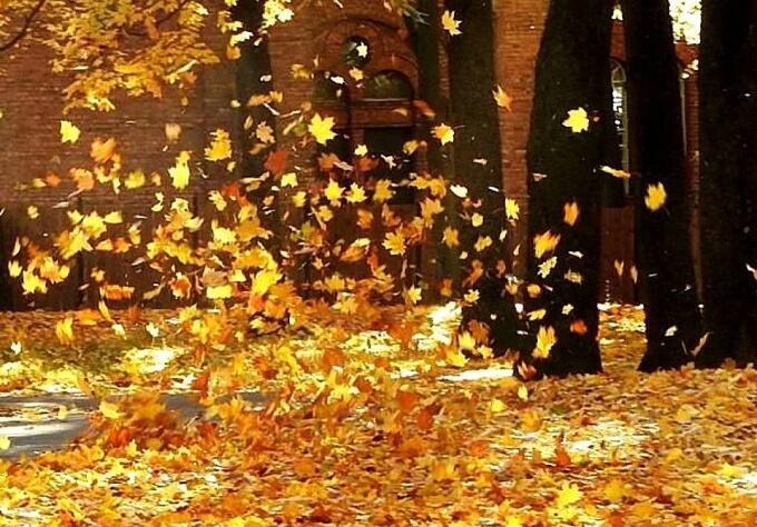 Ноктюрны ноября