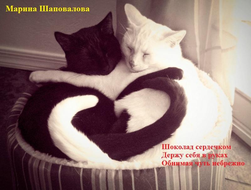 Шоколад сердечком. Хайга.