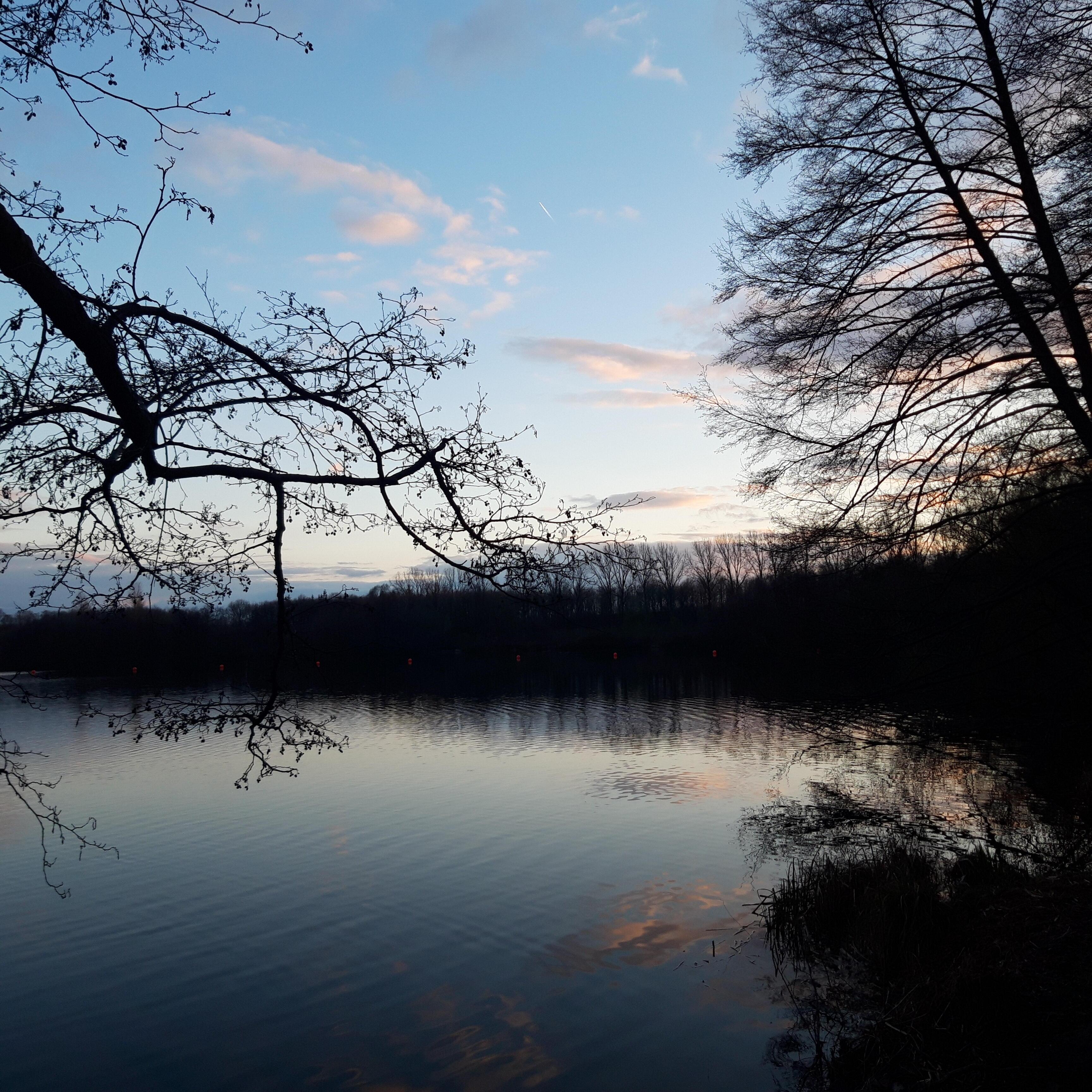 Жизни Поцелуй