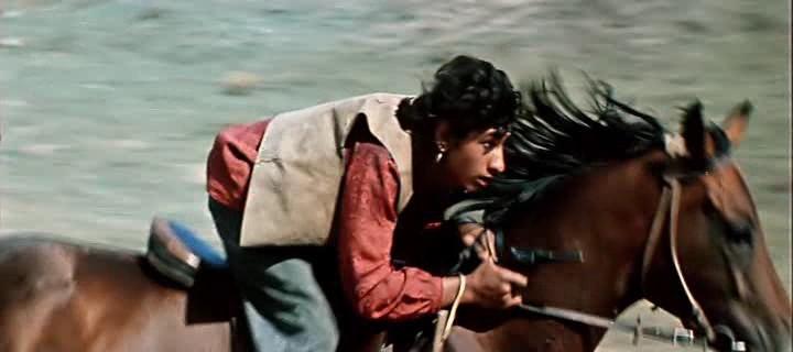 Лети галопом, друг, из всех копыт.