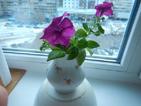 Утренний разговор с Россией