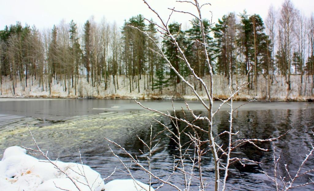 Белой скатертью сугробов